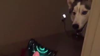 主人调教视频国产,从调教视频看国产崛起之路