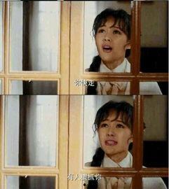 国产对白在线视频,沉浸式观影体验,解锁国产影视新境界